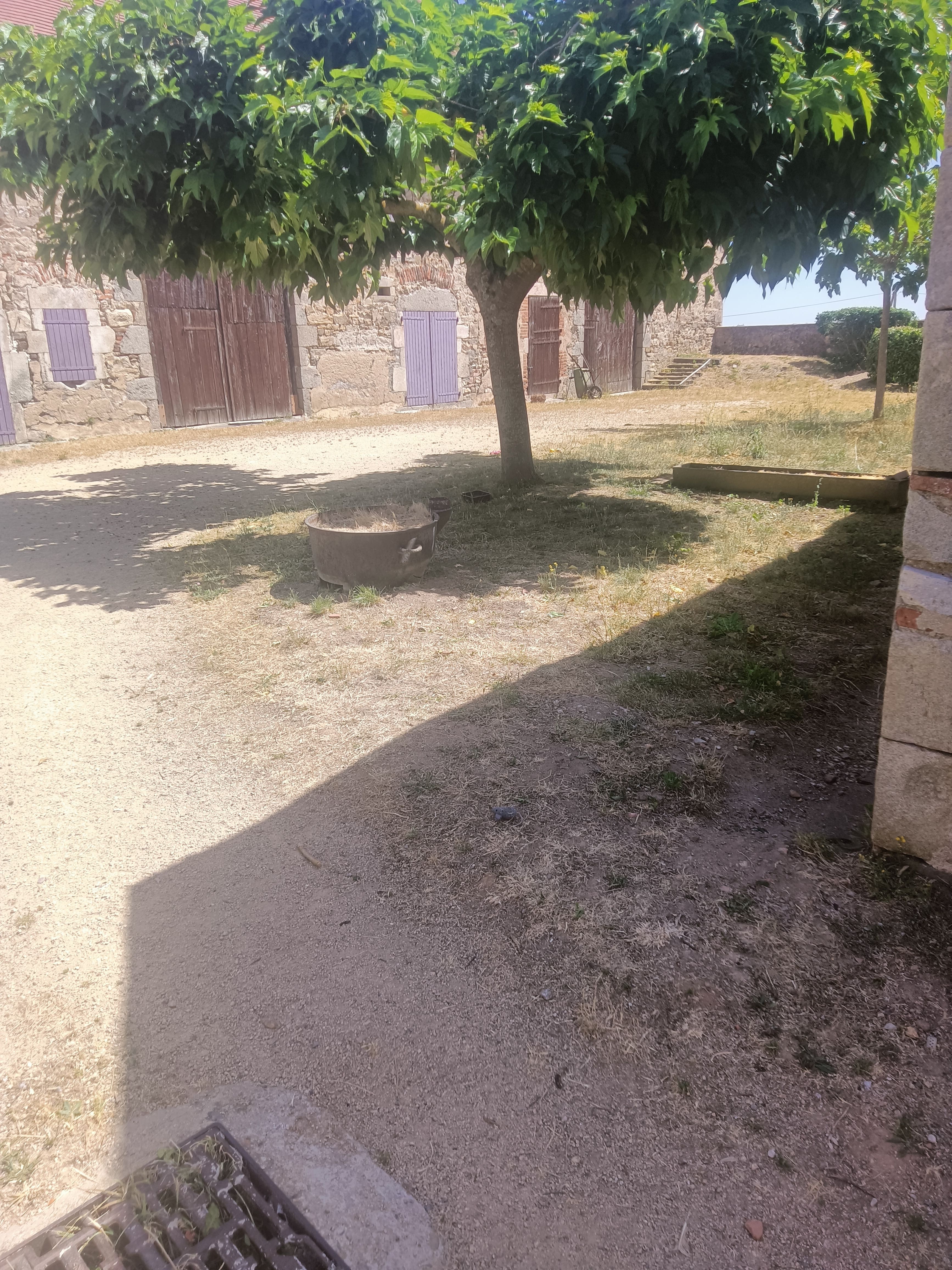 Photo 3 de Laetitia D