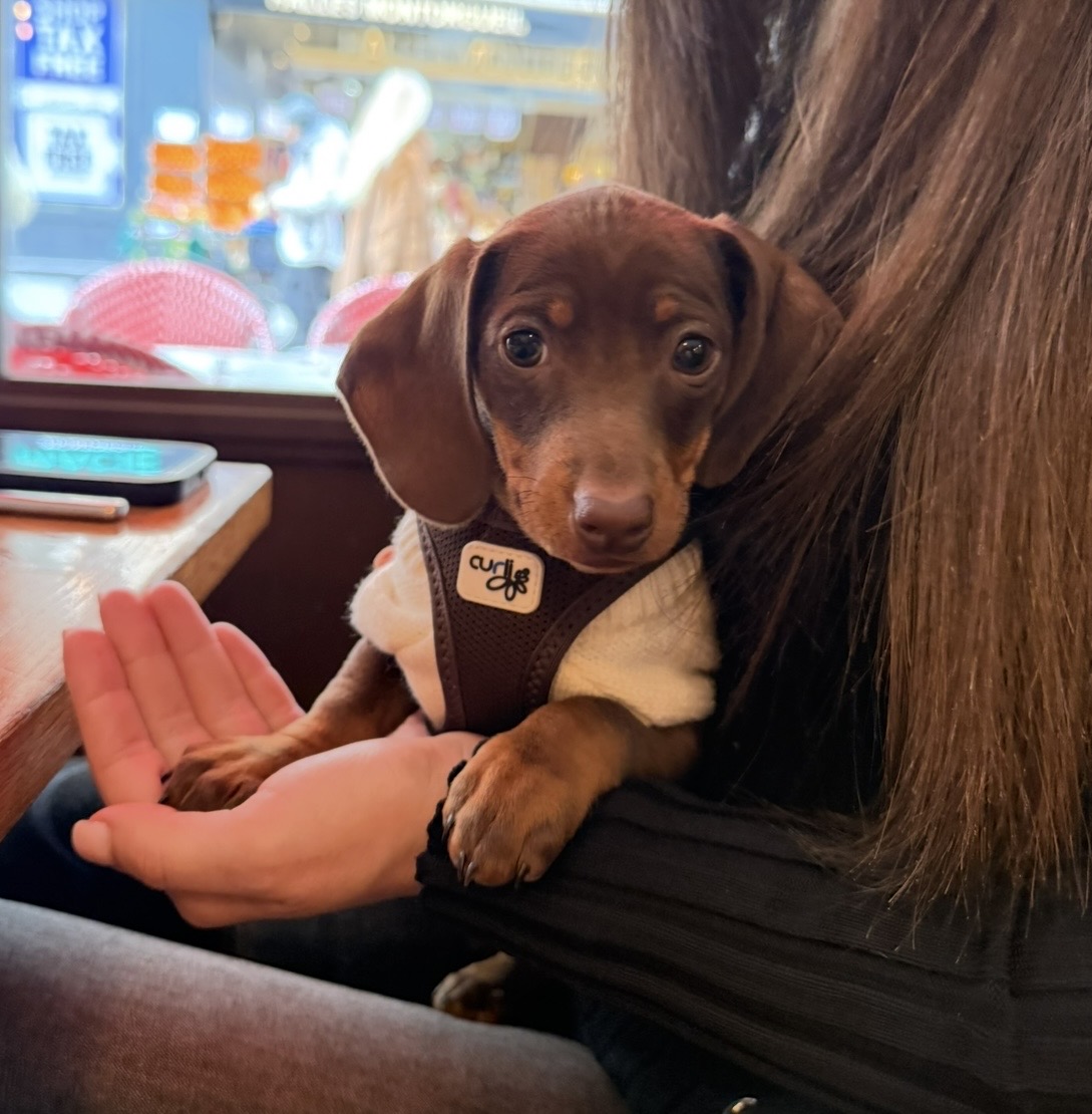 Photo 3 de Alexina