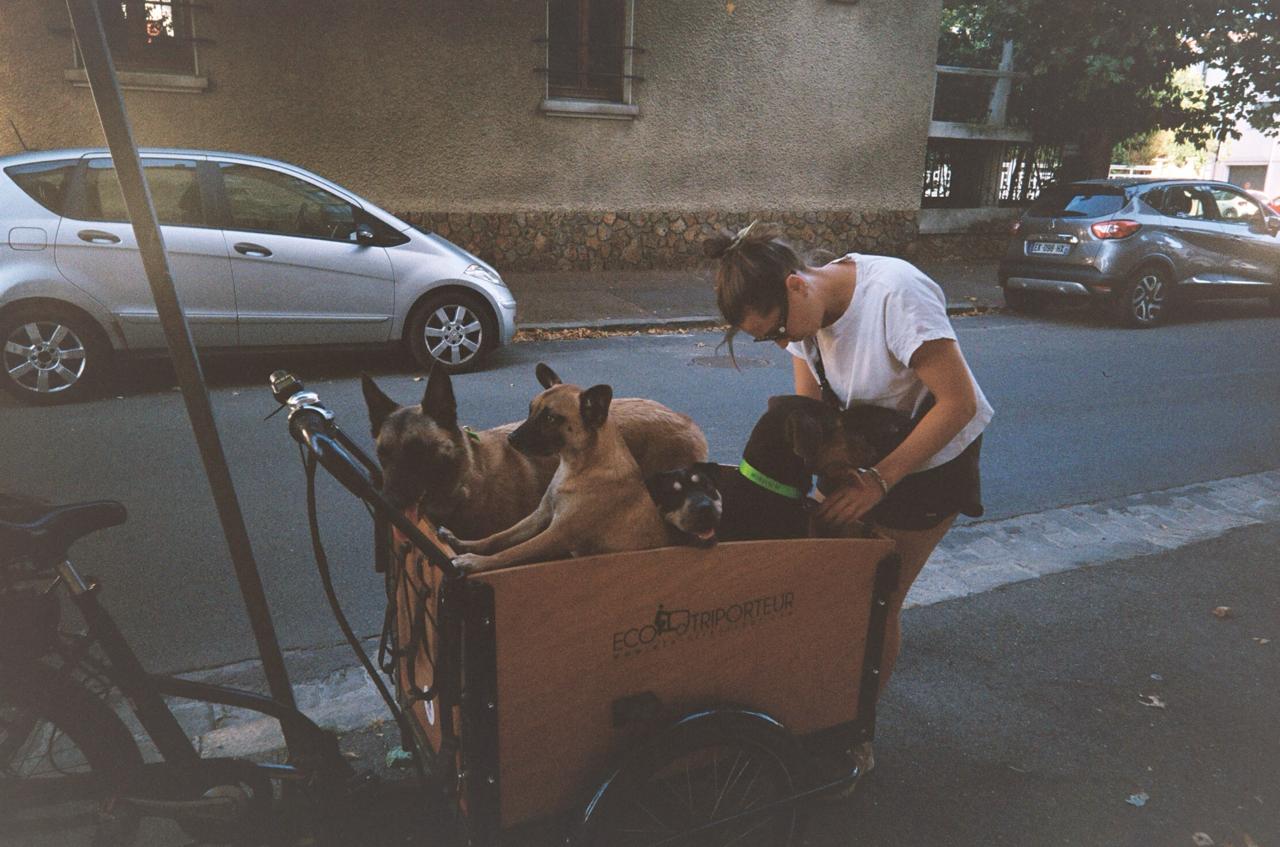 Photo 1 de Camille