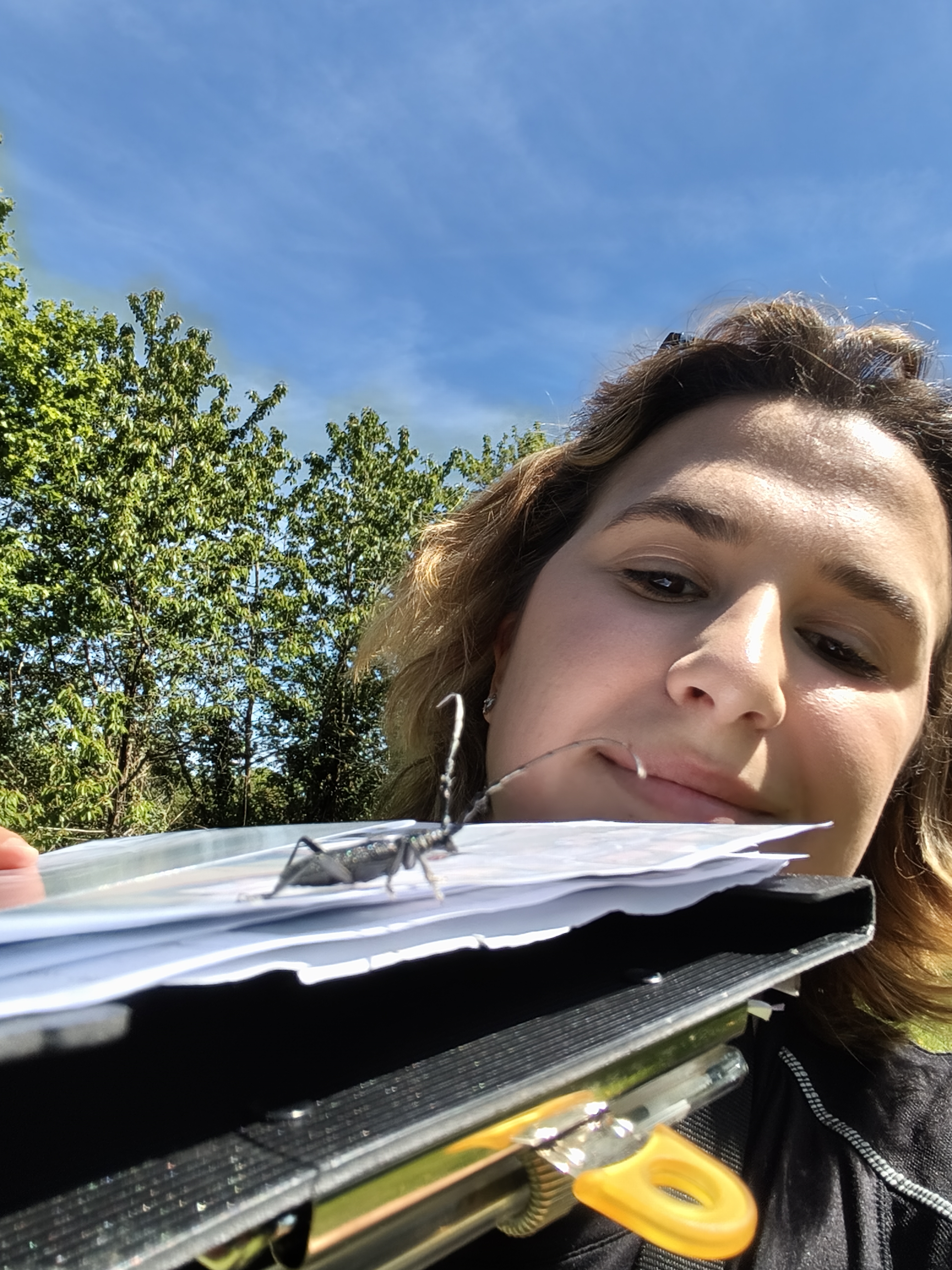 Photo 2 de Élise