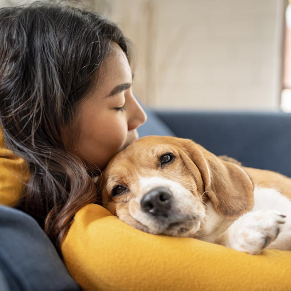 Mon animal est stressé pendant mon absence : comment l'aider à mieux vivre les séparations ?