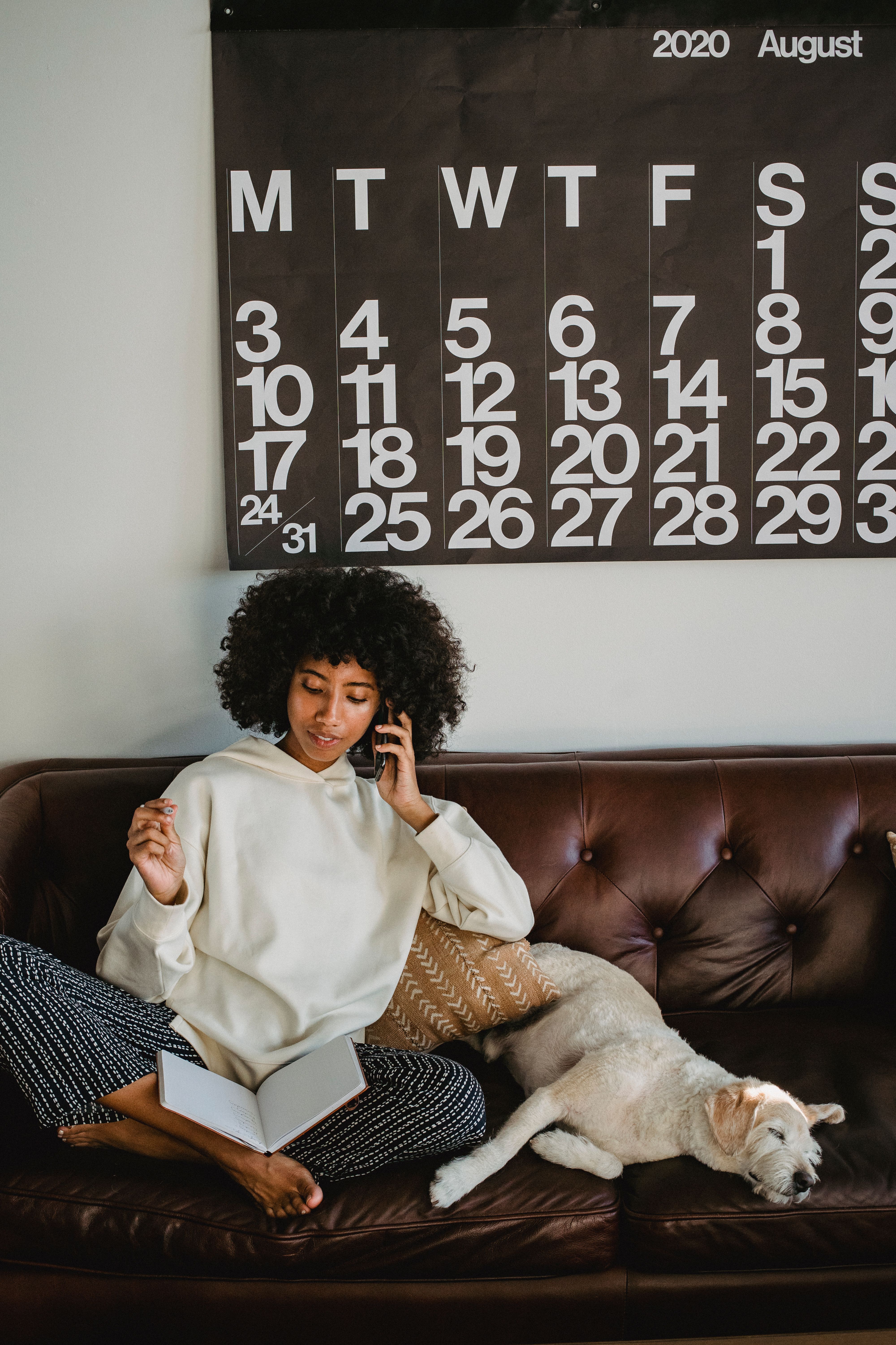 🐾 Professionnaliser ses prestations de pet sitting : organisation, communication et gestion des consignes