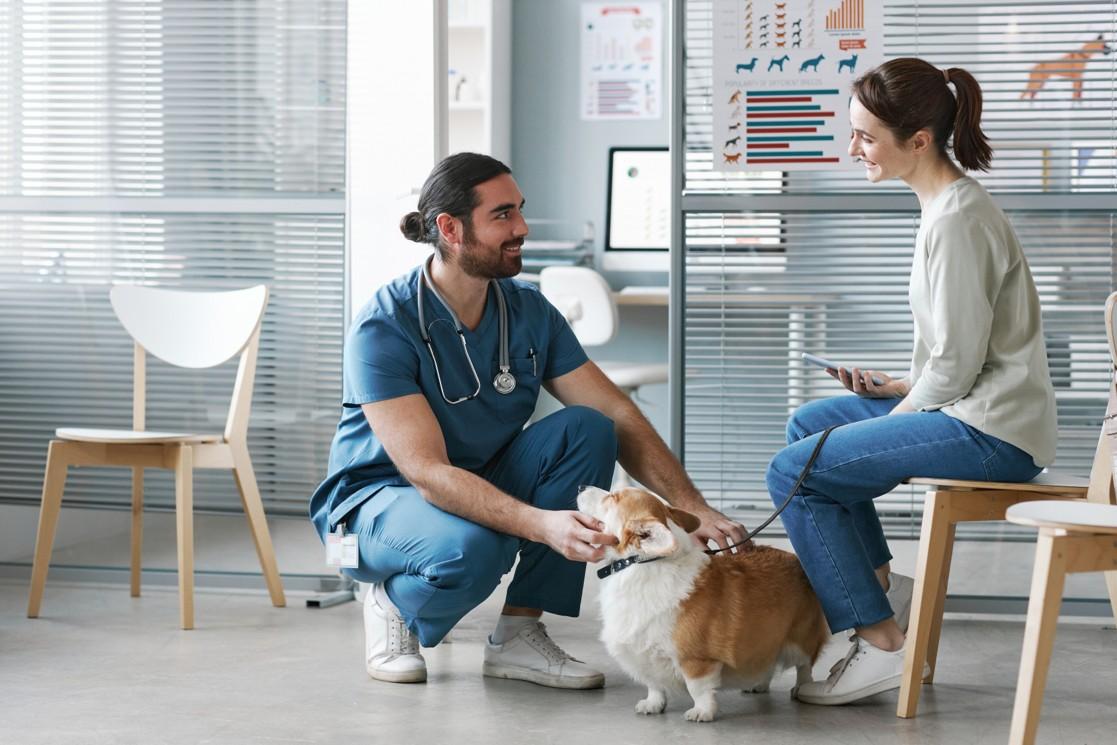 🐾 La sécurité de votre animal au cœur de nos priorités : renseignez son vétérinaire de confiance