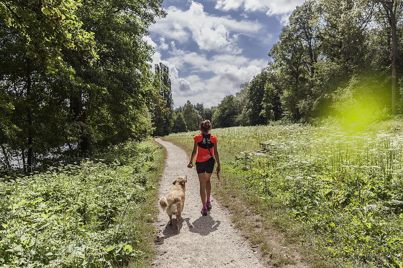 Promener son chien : combien de temps faut-il réellement le sortir chaque jour ?