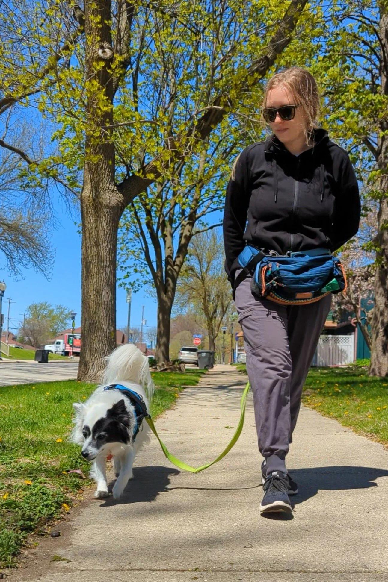 Combien coûte un pet sitter ? Comprendre les tarifs de garde d'animaux