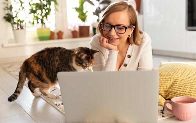 Devenir Pet Sitter : faut-il choisir un statut professionnel ?
