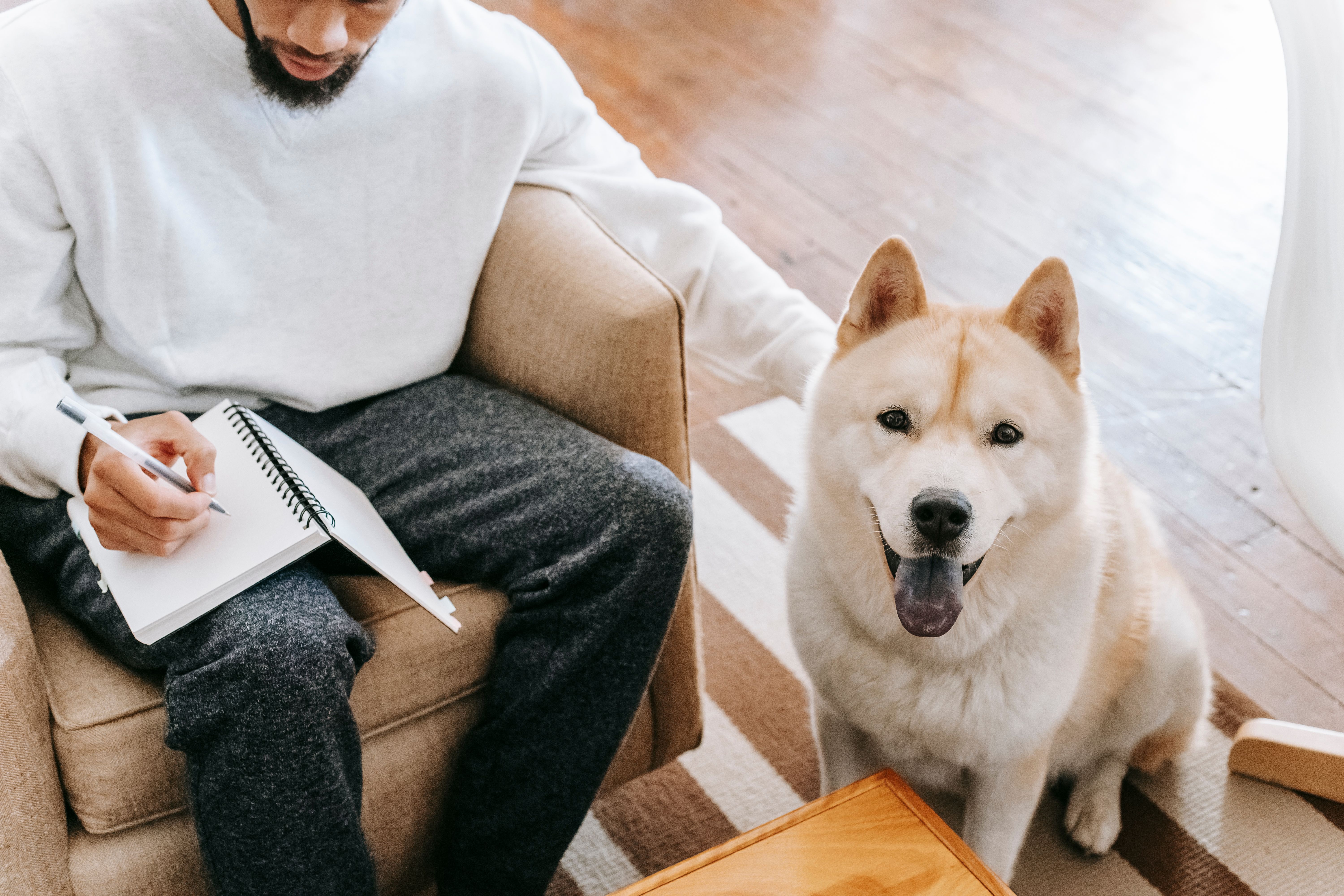 Que donner comme consignes à un pet sitter pour la garde de son chien ?