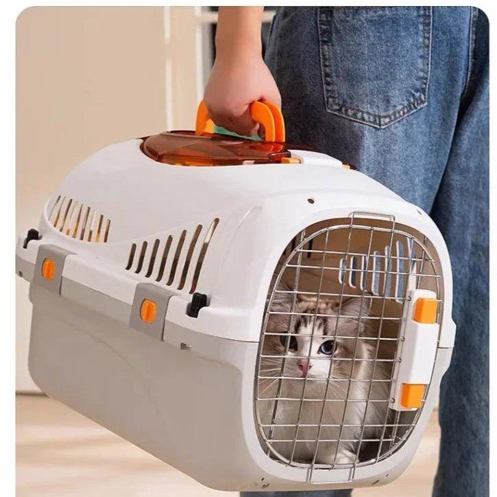 đ Accompagnement & transport dâanimaux