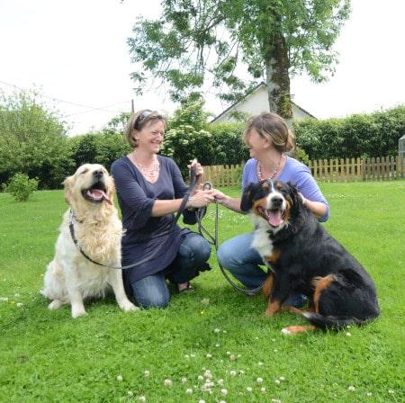 Pet sitter ou pension pour animaux : quelle solution choisir pour votre compagnon ?