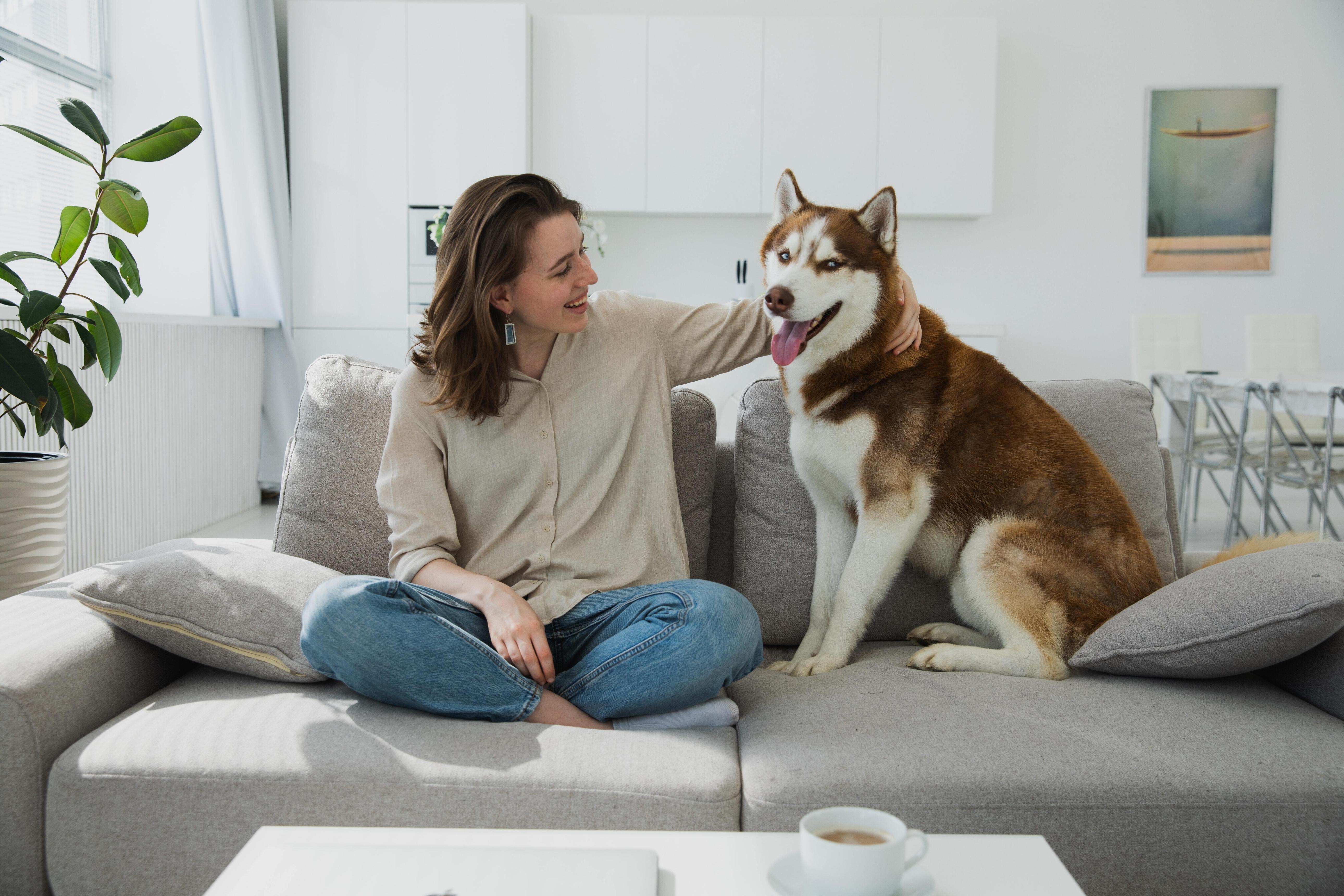 Partir en vacances sans culpabiliser : comment assurer le bien-être de son animal pendant son absence ?