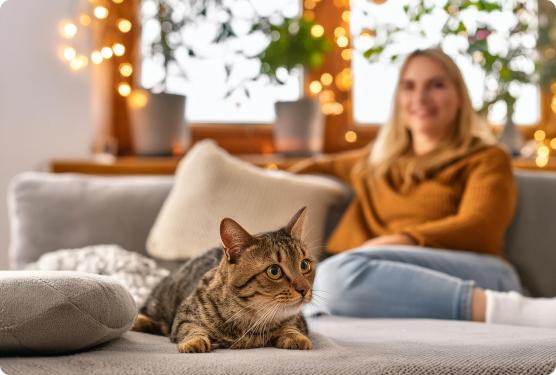 Comment préparer son animal avant une garde à domicile ? 🐾