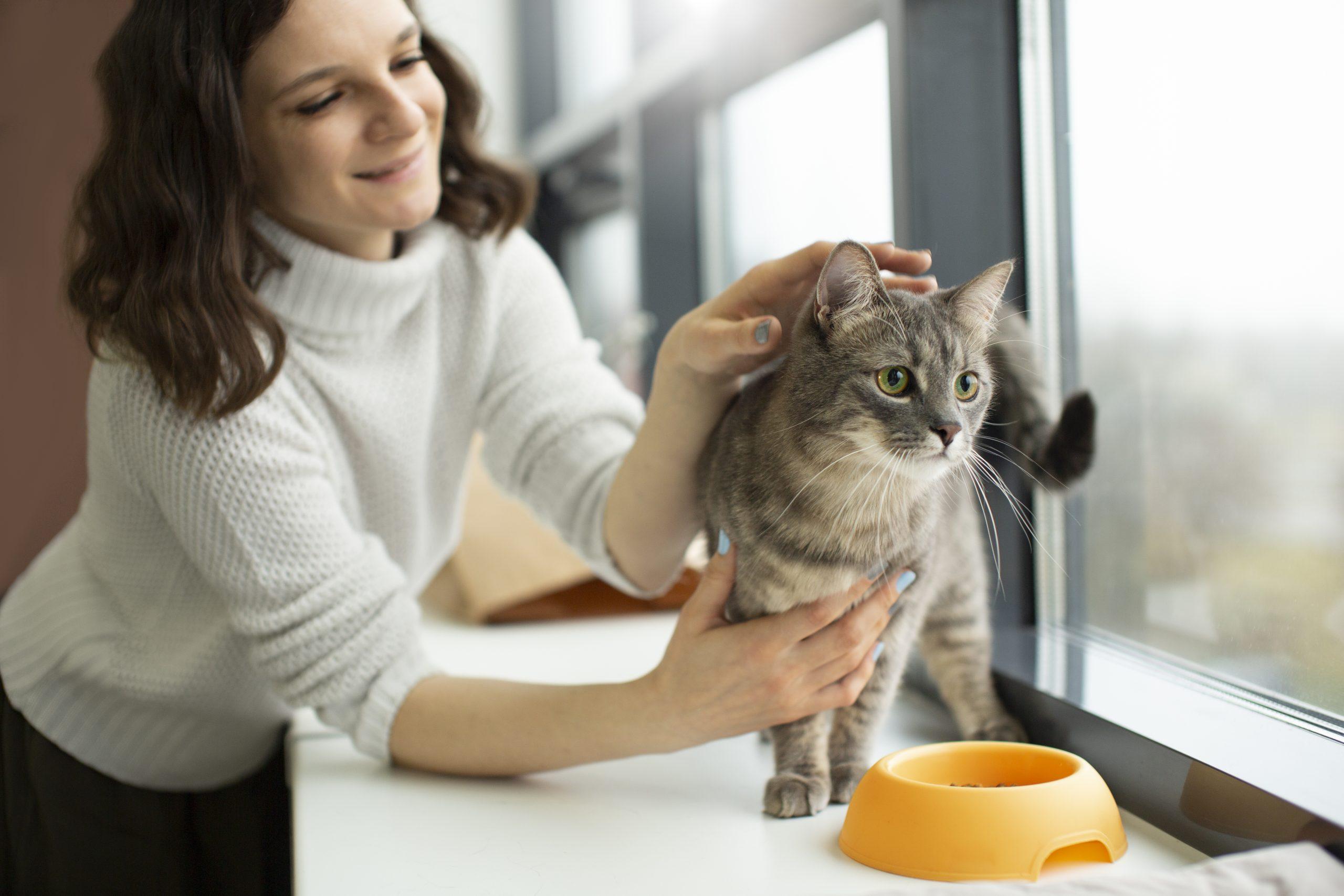 Besoin d'un pet sitter en urgence ? Que faire lorsqu'un imprévu survient ?