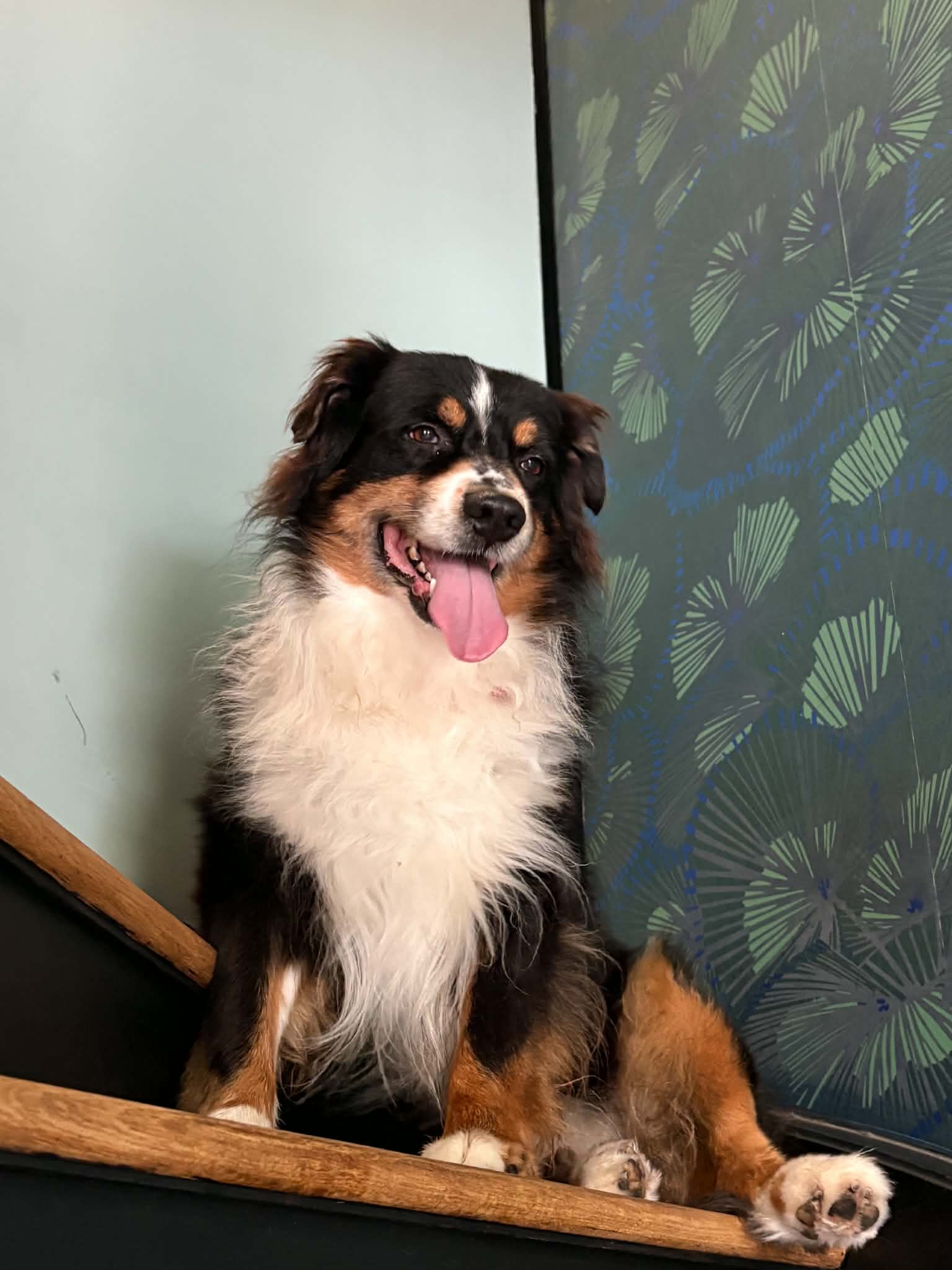 Photo 1 de Manon